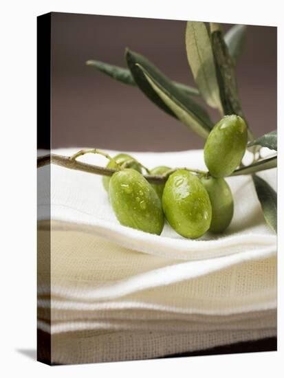 Olive Sprig with Green Olives on Linen Cloth-null-Stretched Canvas