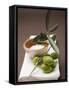 Olive Sprig with Green Olives, Sea Salt in Terracotta Bowl-null-Framed Stretched Canvas