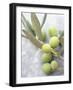 Olive Sprig with Green Olives-Brigitte Sporrer-Framed Photographic Print