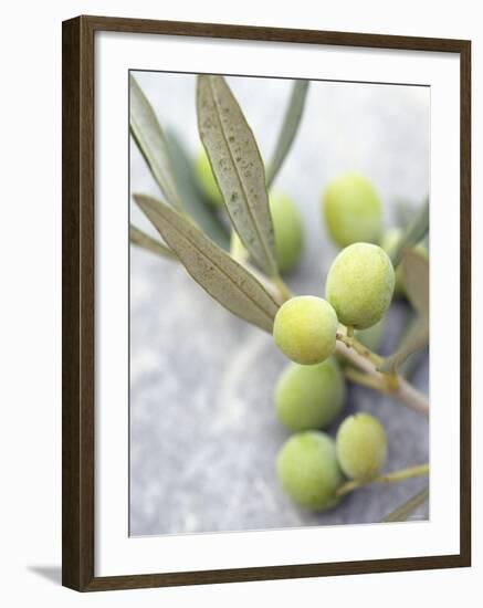 Olive Sprig with Green Olives-Brigitte Sporrer-Framed Photographic Print