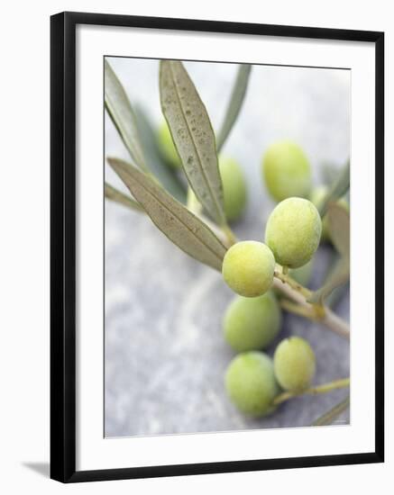 Olive Sprig with Green Olives-Brigitte Sporrer-Framed Photographic Print