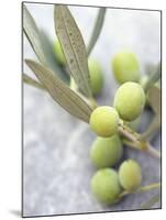 Olive Sprig with Green Olives-Brigitte Sporrer-Mounted Photographic Print