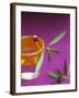 Olive Sprig with Olive in a Glass-Akiko Ida-Framed Photographic Print