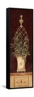 Olive Topiary I-Pamela Gladding-Framed Stretched Canvas