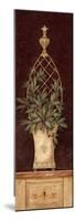 Olive Topiary I-Pamela Gladding-Mounted Art Print
