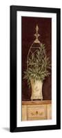 Olive Topiary II-Pamela Gladding-Framed Art Print