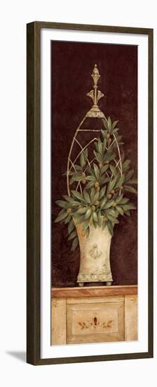 Olive Topiary II-Pamela Gladding-Framed Premium Giclee Print