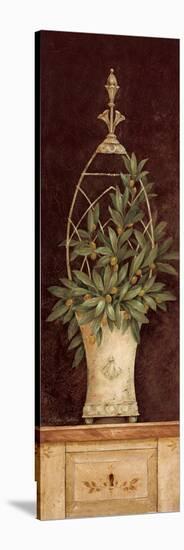 Olive Topiary II-Pamela Gladding-Stretched Canvas