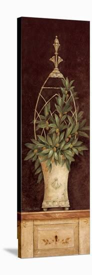 Olive Topiary II-Pamela Gladding-Stretched Canvas