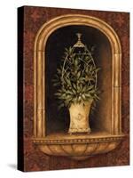 Olive Topiary Niches I-Pamela Gladding-Stretched Canvas