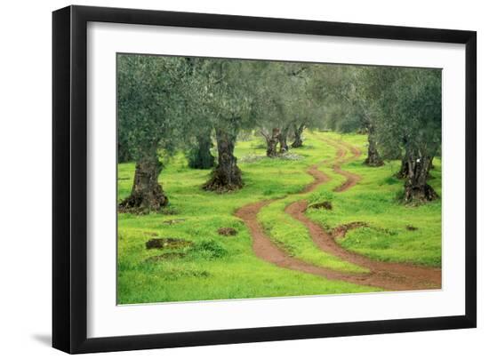 Premium Photographic Print, , large