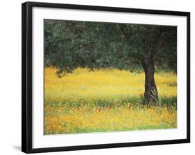 Olive Tree in Field of Wild Flowers, Near Fez, Morocco, North Africa, Africa-Lee Frost-Framed Photographic Print