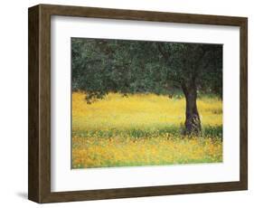 Olive Tree in Field of Wild Flowers, Near Fez, Morocco, North Africa, Africa-Lee Frost-Framed Photographic Print