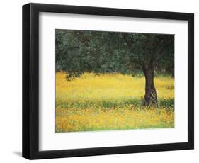 Olive Tree in Field of Wild Flowers, Near Fez, Morocco, North Africa, Africa-Lee Frost-Framed Photographic Print