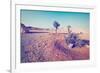 Olive Tree-gkuna-Framed Photographic Print