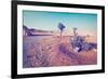 Olive Tree-gkuna-Framed Photographic Print