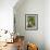Olive Tree-Rogge & Jankovic-Framed Photographic Print displayed on a wall