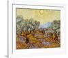 Olive Trees, 1889-Vincent van Gogh-Framed Giclee Print