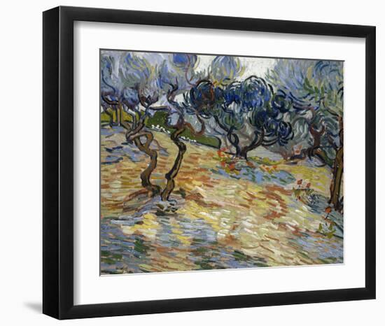 Olive Trees, 1889-Vincent van Gogh-Framed Art Print