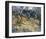 Olive Trees, 1889-Vincent van Gogh-Framed Art Print