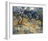 Olive Trees, 1889-Vincent van Gogh-Framed Art Print