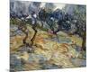 Olive Trees, 1889-Vincent van Gogh-Mounted Art Print