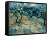 Olive Trees, 1889-Vincent van Gogh-Framed Stretched Canvas