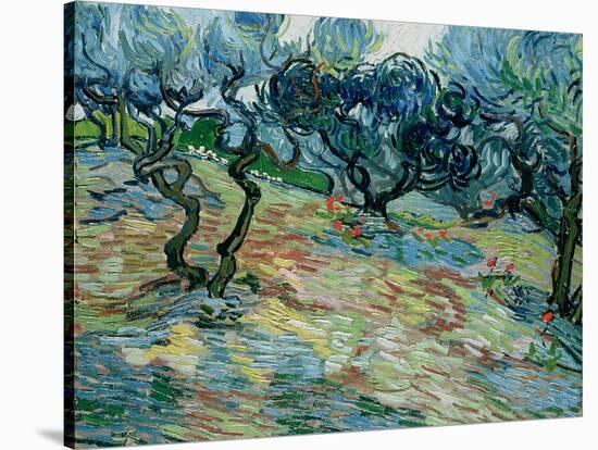 Olive Trees, 1889-Vincent van Gogh-Stretched Canvas