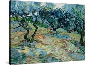 Olive Trees, 1889-Vincent van Gogh-Stretched Canvas