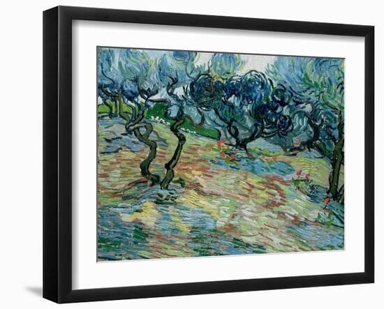 Olive Trees, 1889-Vincent van Gogh-Framed Premium Giclee Print