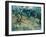 Olive Trees, 1889-Vincent van Gogh-Framed Giclee Print