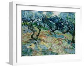 Olive Trees, 1889-Vincent van Gogh-Framed Giclee Print