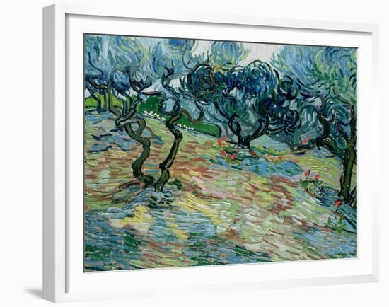 Olive Trees, 1889-Vincent van Gogh-Framed Giclee Print