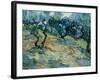 Olive Trees, 1889-Vincent van Gogh-Framed Giclee Print