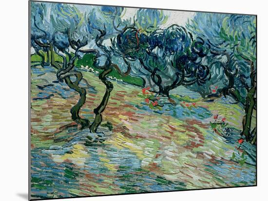 Olive Trees, 1889-Vincent van Gogh-Mounted Giclee Print