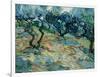 Olive Trees, 1889-Vincent van Gogh-Framed Giclee Print