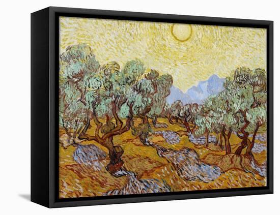 Olive Trees, 1889-Vincent van Gogh-Framed Stretched Canvas