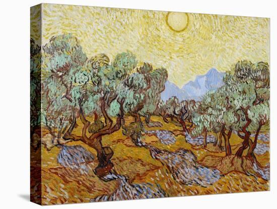 Olive Trees, 1889-Vincent van Gogh-Stretched Canvas