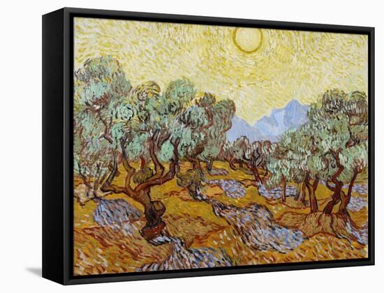 Olive Trees, 1889-Vincent van Gogh-Framed Stretched Canvas