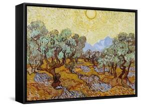 Olive Trees, 1889-Vincent van Gogh-Framed Stretched Canvas