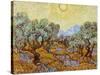 Olive Trees, 1889-Vincent van Gogh-Stretched Canvas