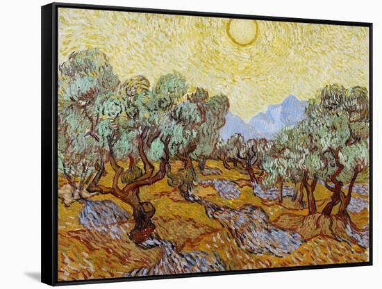 Olive Trees, 1889-Vincent van Gogh-Framed Stretched Canvas