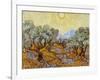 Olive Trees, 1889-Vincent van Gogh-Framed Giclee Print