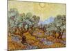 Olive Trees, 1889-Vincent van Gogh-Mounted Giclee Print