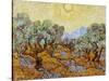 Olive Trees, 1889-Vincent van Gogh-Stretched Canvas