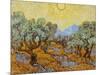 Olive Trees, 1889-Vincent van Gogh-Mounted Giclee Print