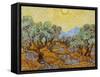 Olive Trees, 1889-Vincent van Gogh-Framed Stretched Canvas