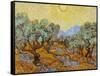 Olive Trees, 1889-Vincent van Gogh-Framed Stretched Canvas