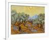 Olive Trees, 1889-Vincent van Gogh-Framed Giclee Print