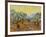 Olive Trees, 1889-Vincent van Gogh-Framed Giclee Print